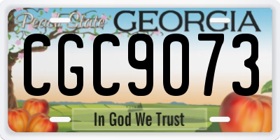 GA license plate CGC9073