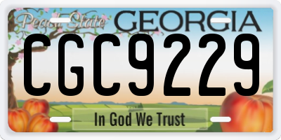 GA license plate CGC9229