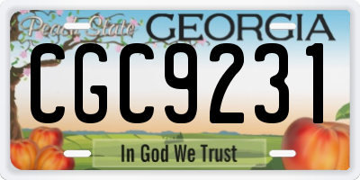 GA license plate CGC9231