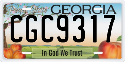 GA license plate CGC9317
