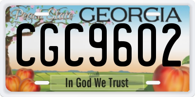 GA license plate CGC9602