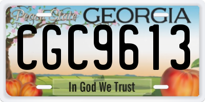 GA license plate CGC9613