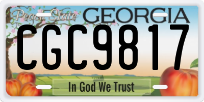 GA license plate CGC9817
