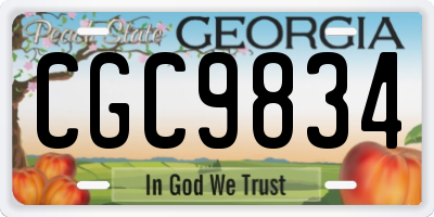 GA license plate CGC9834