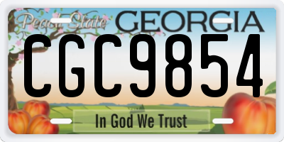 GA license plate CGC9854