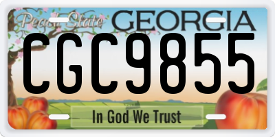 GA license plate CGC9855
