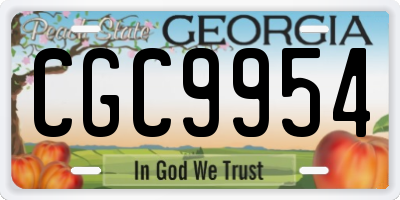 GA license plate CGC9954