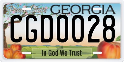 GA license plate CGD0028