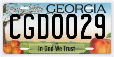 GA license plate CGD0029