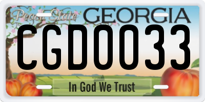 GA license plate CGD0033