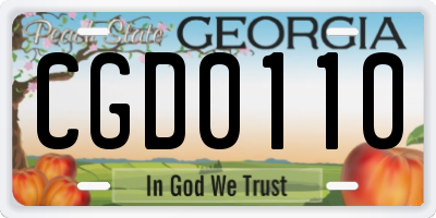 GA license plate CGD0110