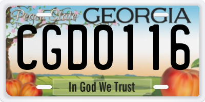 GA license plate CGD0116