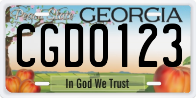 GA license plate CGD0123