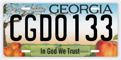GA license plate CGD0133