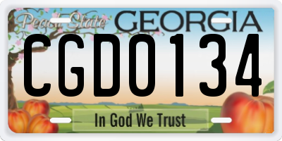 GA license plate CGD0134