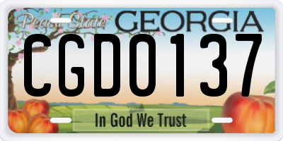GA license plate CGD0137