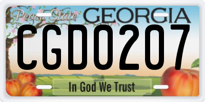 GA license plate CGD0207
