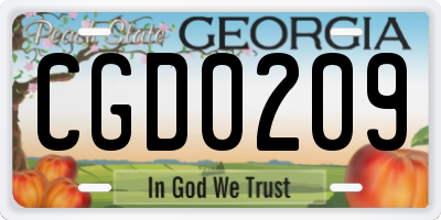 GA license plate CGD0209