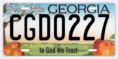 GA license plate CGD0227