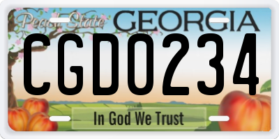 GA license plate CGD0234