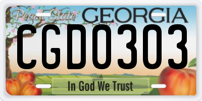 GA license plate CGD0303
