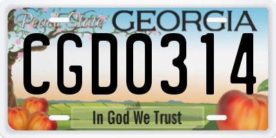 GA license plate CGD0314