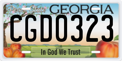 GA license plate CGD0323