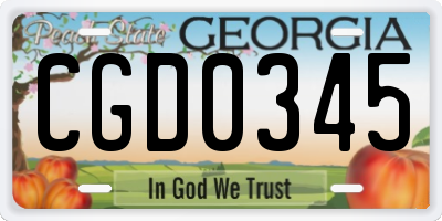 GA license plate CGD0345