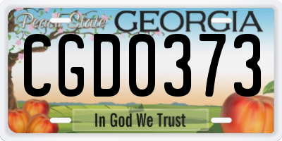GA license plate CGD0373