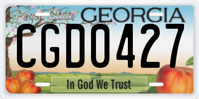 GA license plate CGD0427