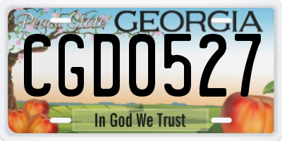GA license plate CGD0527