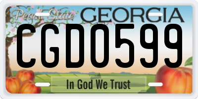 GA license plate CGD0599