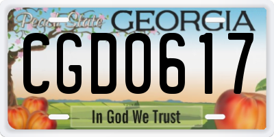 GA license plate CGD0617