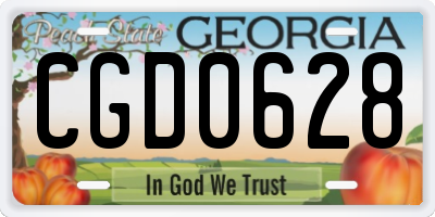 GA license plate CGD0628