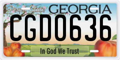 GA license plate CGD0636