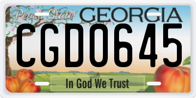 GA license plate CGD0645