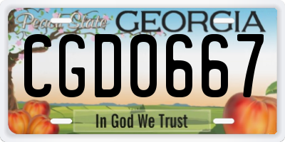 GA license plate CGD0667