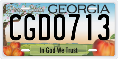 GA license plate CGD0713