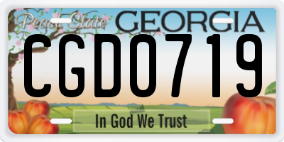 GA license plate CGD0719
