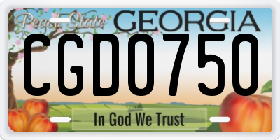 GA license plate CGD0750