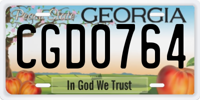 GA license plate CGD0764