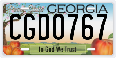 GA license plate CGD0767
