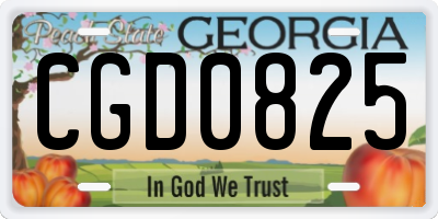 GA license plate CGD0825