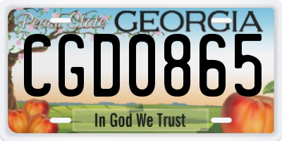 GA license plate CGD0865