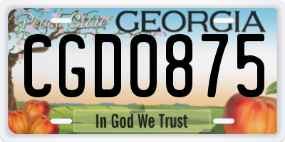 GA license plate CGD0875