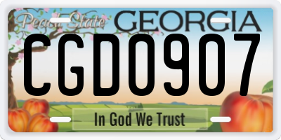 GA license plate CGD0907