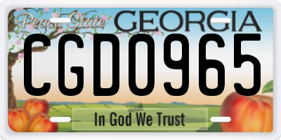 GA license plate CGD0965