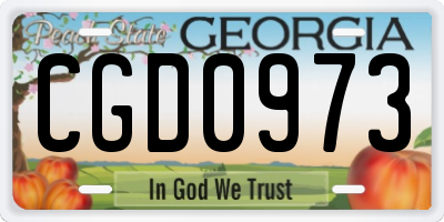 GA license plate CGD0973