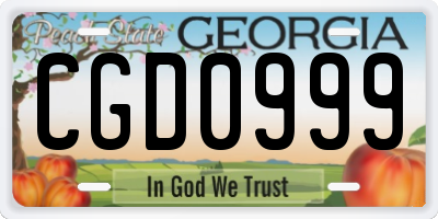 GA license plate CGD0999