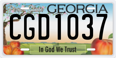 GA license plate CGD1037